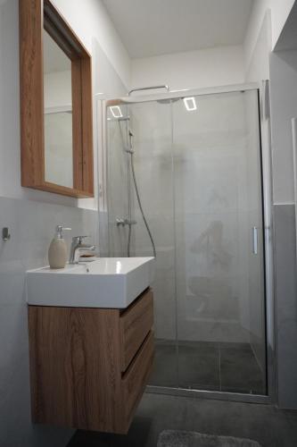 Apartments and rooms with WiFi Sibenik - 24424