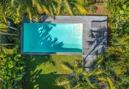 an overhead view of a swimming pool with palm trees at Alpha Luxe - Pet Friendly Luxury Home and Heated Pool in Byron Bay