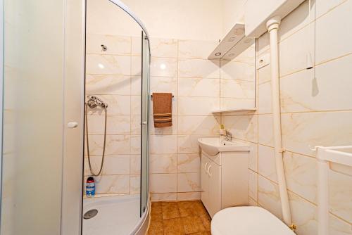 ein Badezimmer mit Dusche und Toilette in der Unterkunft Apartments by the sea Ubli, Lastovo - 24676 in Lastovo