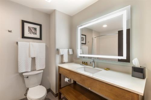 a bathroom with a sink and a toilet and a mirror at Best Western Plus Rapid City Rushmore in Rapid City