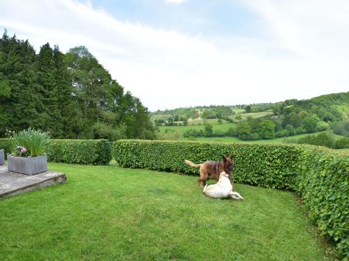 a dog and a dog laying in the grass at Normandy Countryside Stay in Montaigu-les-Bois