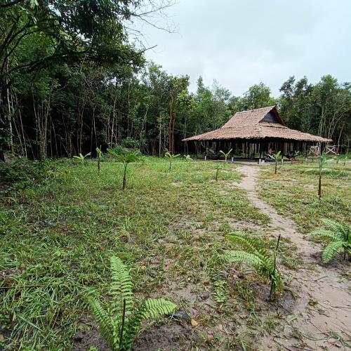 Zahrada ubytování Chansor Homestay 1 By Siem Reap Homesteading