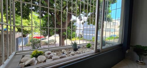 a room with a window with rocks and plants at The Central Comfort in Kingston