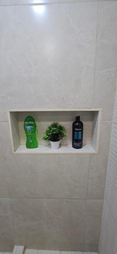 a shelf in a bathroom with a soap and a plant at The Central Comfort in Kingston