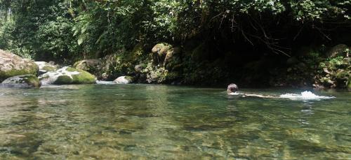 a person swimming in a river in the jungle at Casa Arthémis - Guapiles in Guápiles