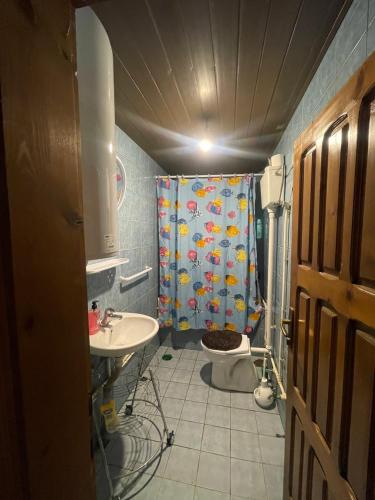 une salle de bain avec un rideau de douche et un lavabo dans l'établissement Mehov Han Hostel, à Plav