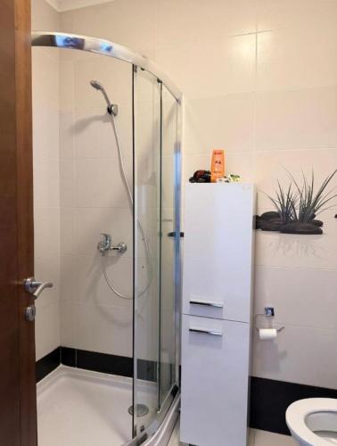 una ducha de cristal en un baño con inodoro en Serenity Studio House, en Budva