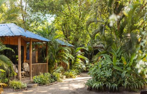 a house in the middle of a garden at Palm Forest Palolem in Palolem
