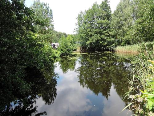 Ko czewo Lake & Forest Farm Stay