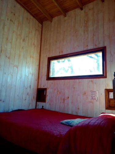 a bedroom with a bed in a wooden room with a window at Cabaña entre arboles in Tigre