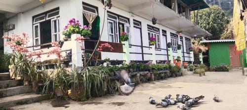 Κήπος έξω από το Neel DIGANTA HOME STAY, SILLERY GAON KALIMPONG