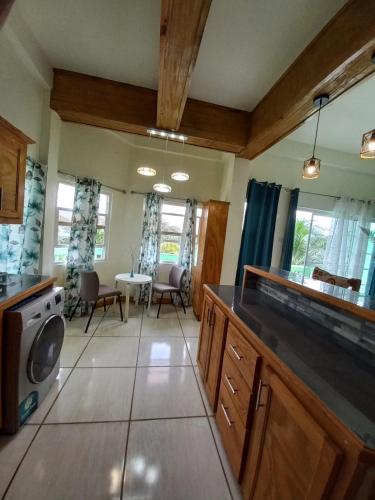 a kitchen with a washer and dryer at Nested View in Westerhall Land Settlement