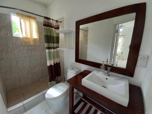 a bathroom with a sink and a toilet and a mirror at Nested View in Westerhall Land Settlement