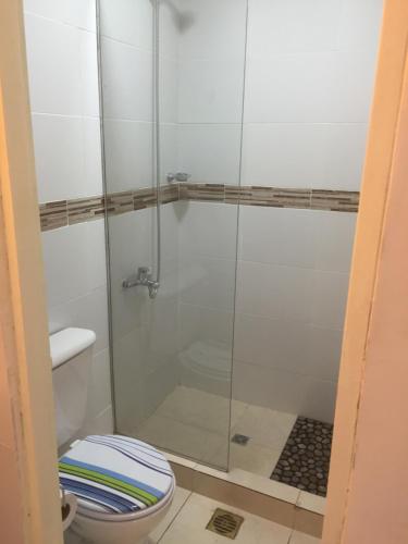 a bathroom with a shower and a toilet at Apartamento Entre Olivos in Mendoza