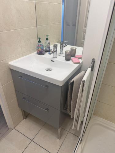 a bathroom with a sink and a mirror at Studio lumineux avec WiFi gratuit Centre Antony, accès rapide Paris & Orly in Antony