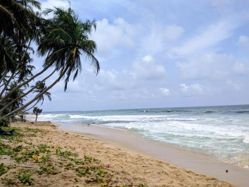 Gallery image of White Whale Villa Ambalangoda in Ambalangoda