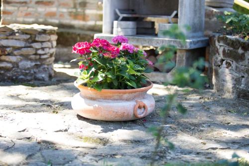 a pot with flowers in it sitting on the ground at Hotel Zéta in Lenti