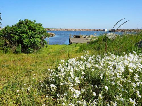 a field of white flowers in front of a body of water at 5 person holiday home in SÖLVESBORG-By Traum in Sölvesborg