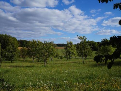 Příroda nedaleko apartmánu
