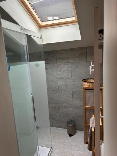a bathroom with a shower with a skylight at Chalet Ulysse in Saint-Gervais-les-Bains