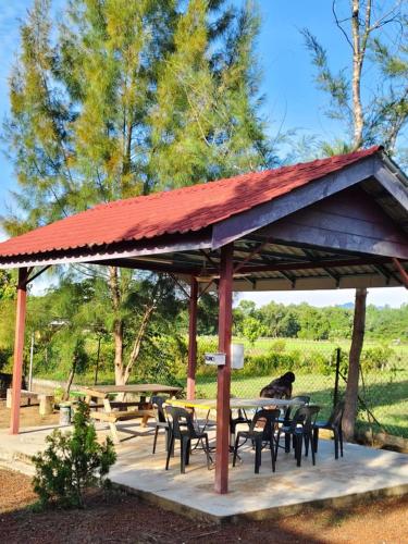 a pavilion with tables and chairs and a dog sitting at it at Ria Homestay in Tanah Merah