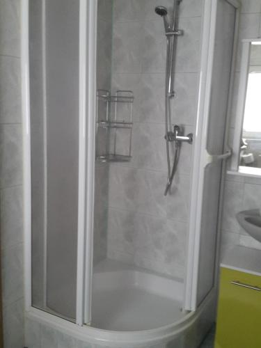 a shower with a glass door in a bathroom at Ferienhaus am Radweg in Brotterode