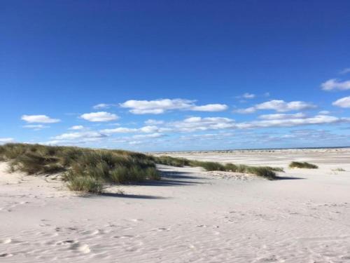 a beach with some grass and sand on it at Cottage in Nes-Ameland near Coastline in Nes