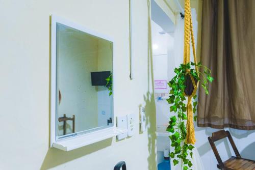 a mirror on a wall with a plant on it at Suite dos Anjos com Cozinha 150m da Praia in Arraial do Cabo
