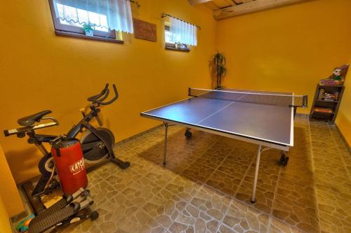 a ping pong table in a room with a bike at Penzion Havran in Ždiar