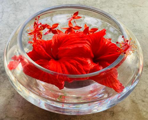 a red flower in a glass bowl on a table at The Danish Villa Resort in Arugam Bay