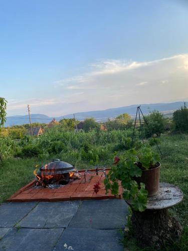 a fire pit in the middle of a field at Organska Farma Nebesa in Vrmdža