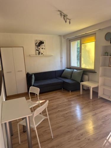 Central Studio Bolesławiec