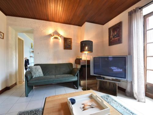 TV a/nebo společenská místnost v ubytování Holiday Home in Grury with Pool & Garden