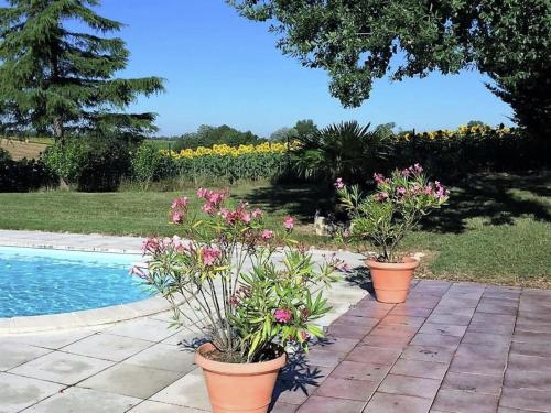 three pots of flowers sitting next to a swimming pool at Cozy French Escape in Monfort in Monfort