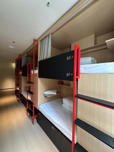 a group of bunk beds in a dorm room at Amic Girls' Hostel (Shenzhen Shekou Sea World) in Shenzhen