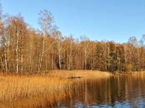 a body of water with trees in the background at 4 person holiday home in Ulfborg-By Traum in Fengersfors