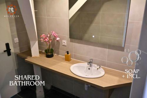 a bathroom with a sink and a mirror at Mulhouse City Loft in Mulhouse