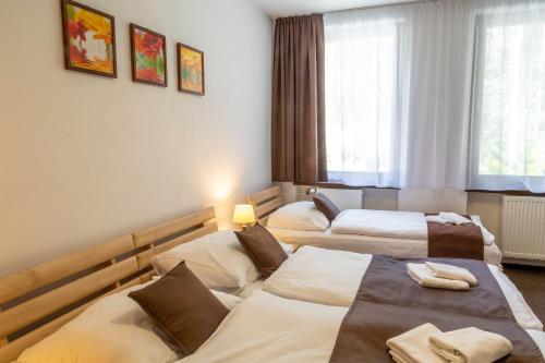 Postel nebo postele na pokoji v ubytování Lopušná dolina Resort