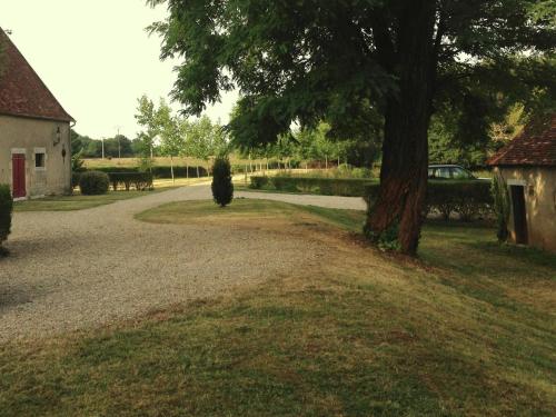 a gravel driveway with a tree and a house at Castle in Le Veurdre near Forest and River in Le Veurdre