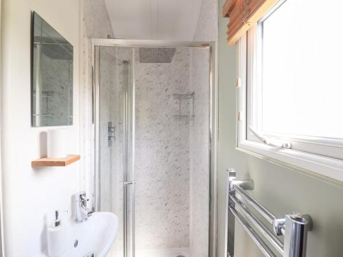 a bathroom with a shower and a sink at Cuckoo at Wild Valley Huts in Oswestry