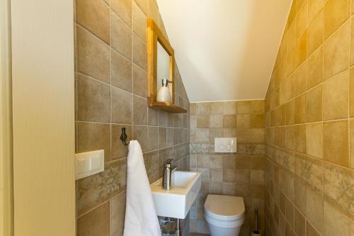 a bathroom with a sink and a toilet at Villa Luca with pool and jacuzzi in Vrh