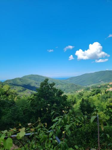 a view of a valley with trees and mountains at Il Laghello Wood House in Framura