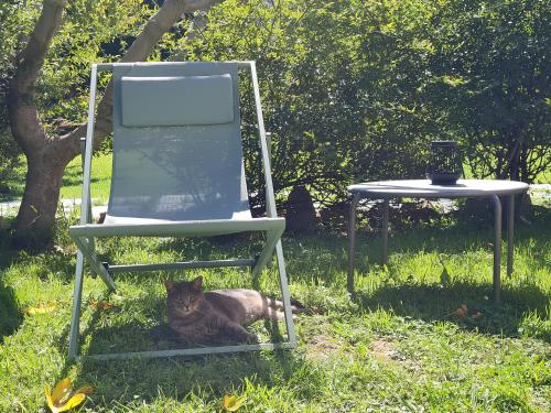 a cat laying in the grass next to a chair at Il Laghello Wood House in Framura
