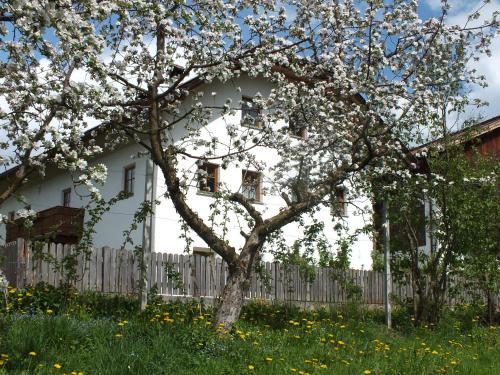 Großflatscherhof – Photos 2
