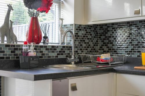 a kitchen counter with a sink and a red vase at poplar in Mexborough