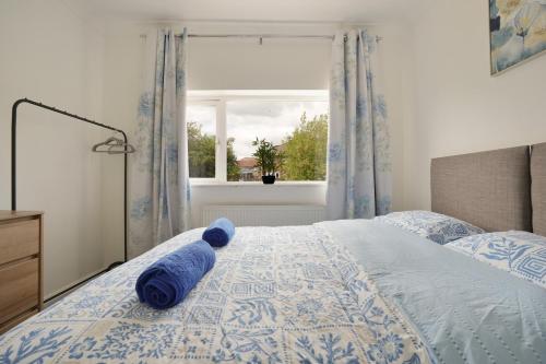 a blue stuffed animal laying on a bed with a window at poplar in Mexborough
