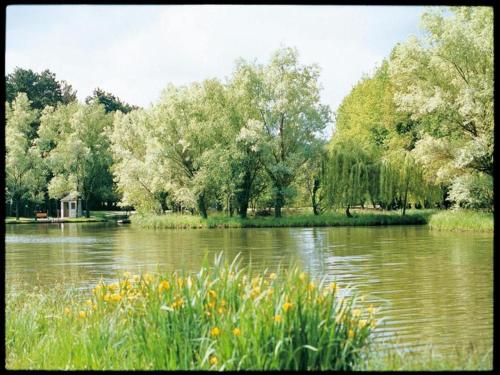 a body of water with trees and grass and flowers at Rustic Holiday Home in Città di Castello with Swimming Pool in Città di Castello