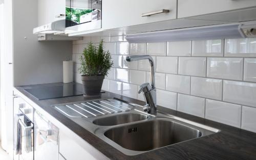 a kitchen sink with a potted plant next to it at Visby Gustavsvik in Visby