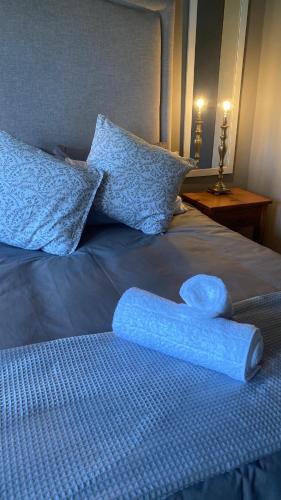 Un objeto azul encima de una cama con almohadas. en The Perfect Spot, en Welgelegen