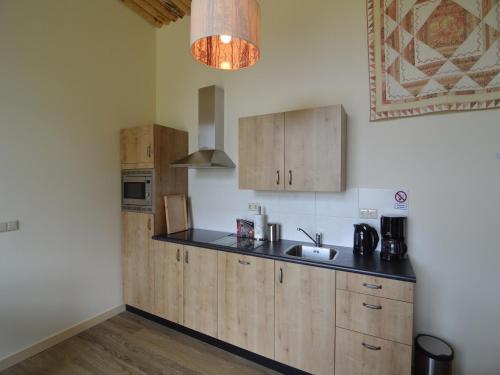 a kitchen with wooden cabinets and a sink at Quaint Farmhouse in Geesteren with Meadow View in Geesteren